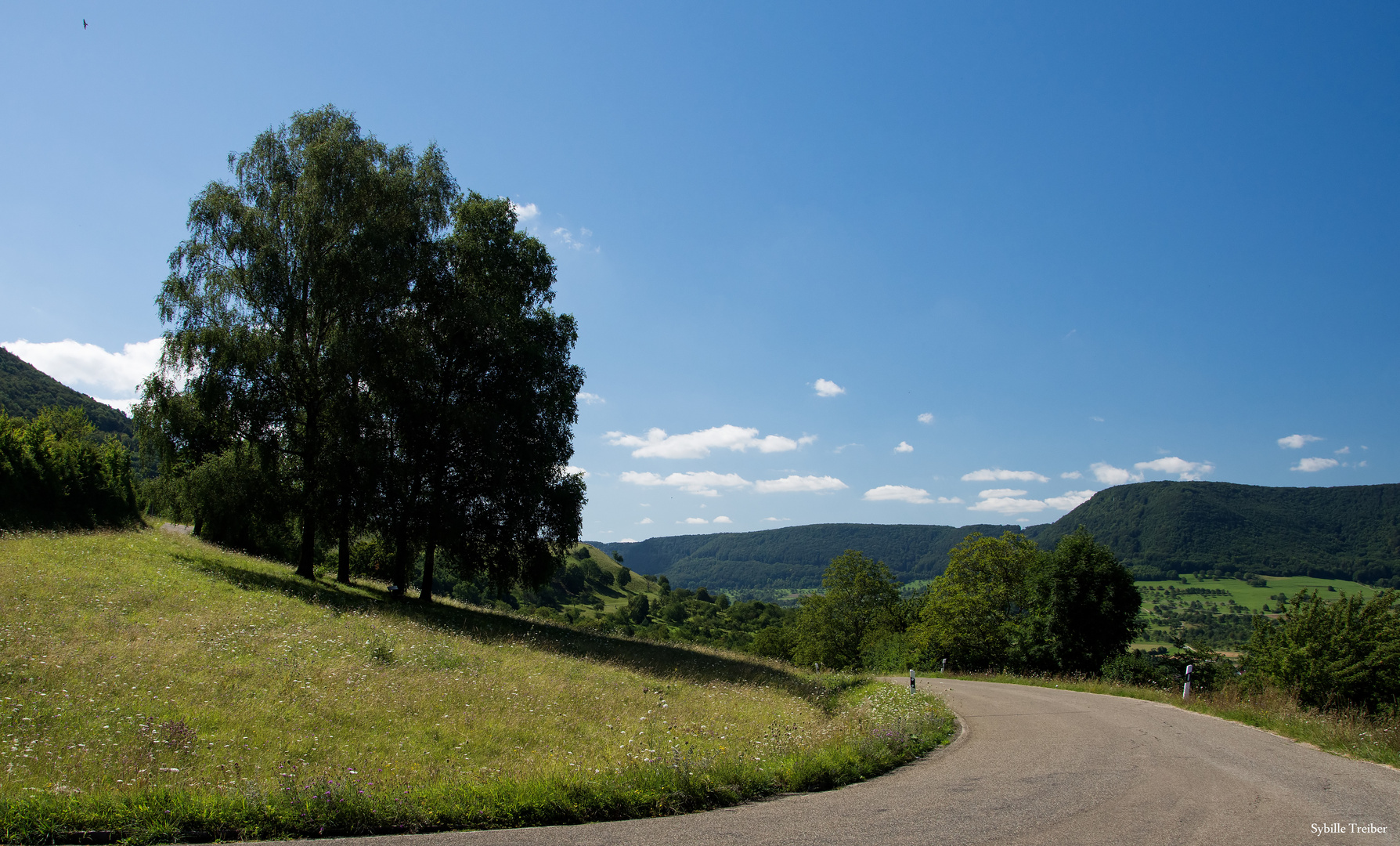 Sommer auf der Schwäbischen Alb