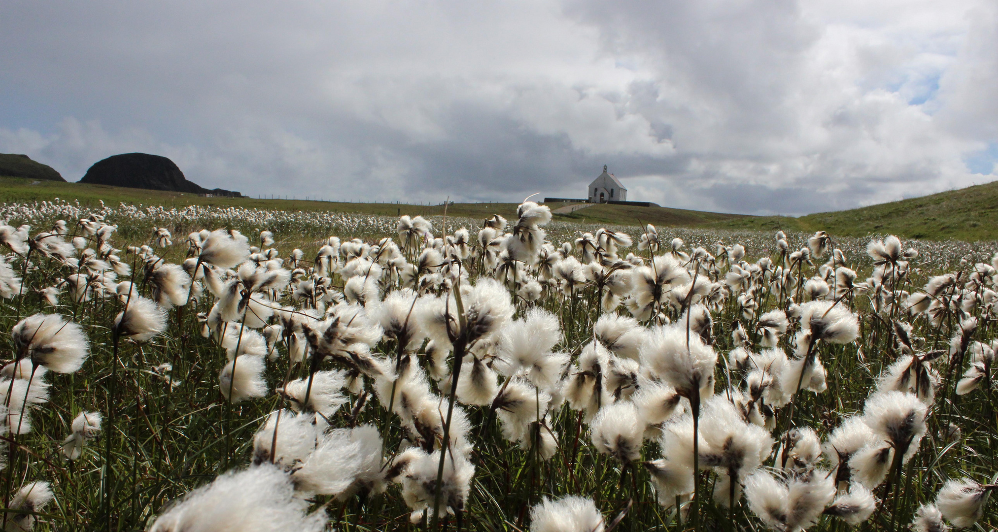 Sommer auf Fair Isle, Shetland