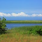 Sommer auf Fehmarn 2010