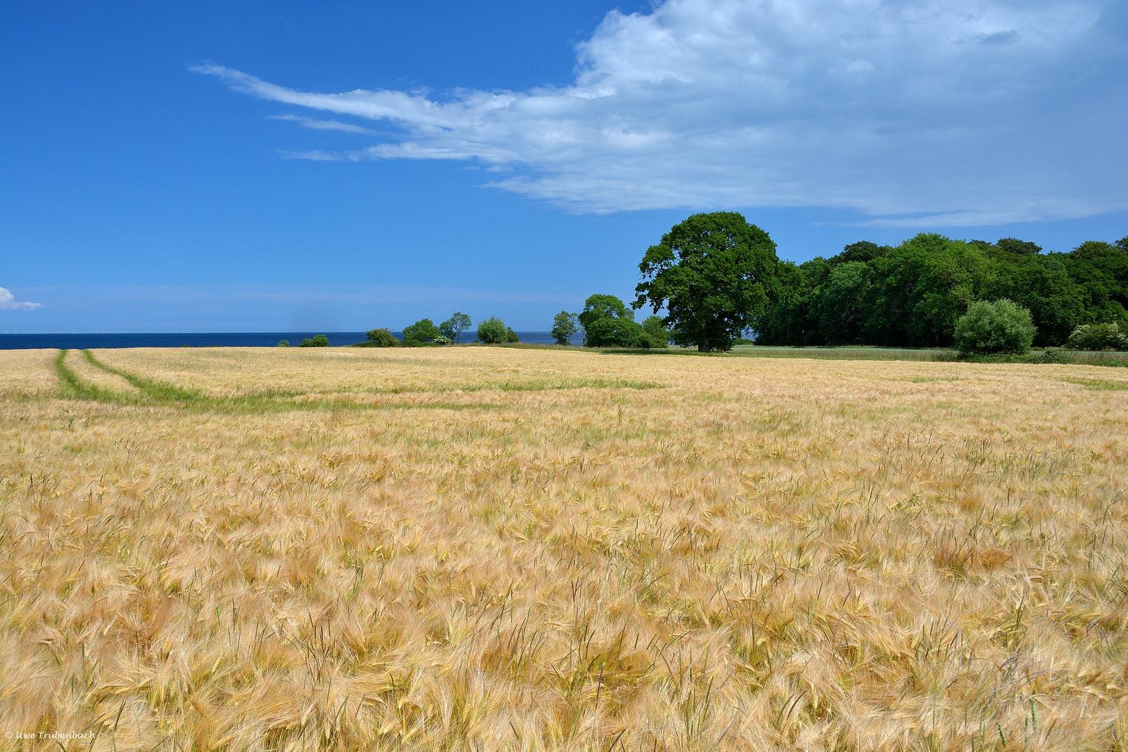 Sommer auf Fehmarn