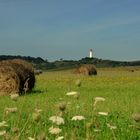 Sommer auf Hiddensee