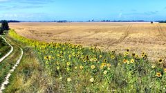 Sommer auf Kap Arkona