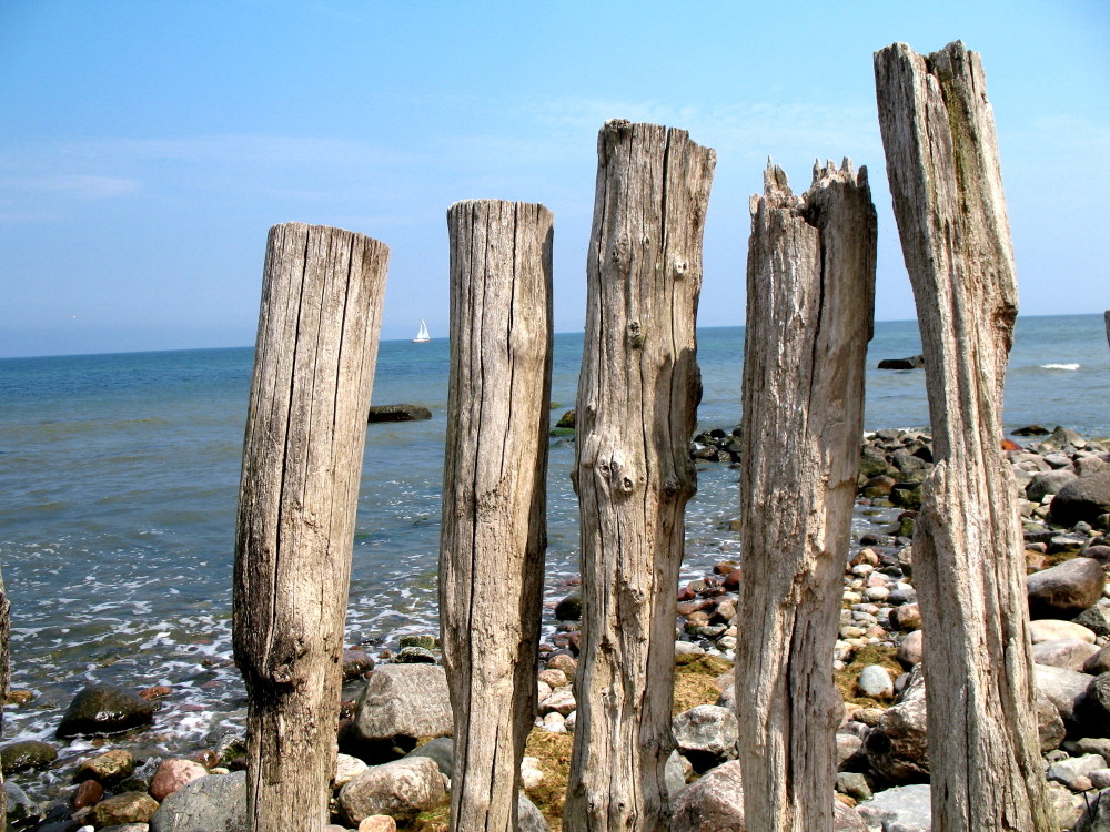 Sommer auf Rügen