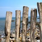 Sommer auf Rügen