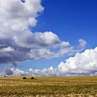 Sommer auf Rügen