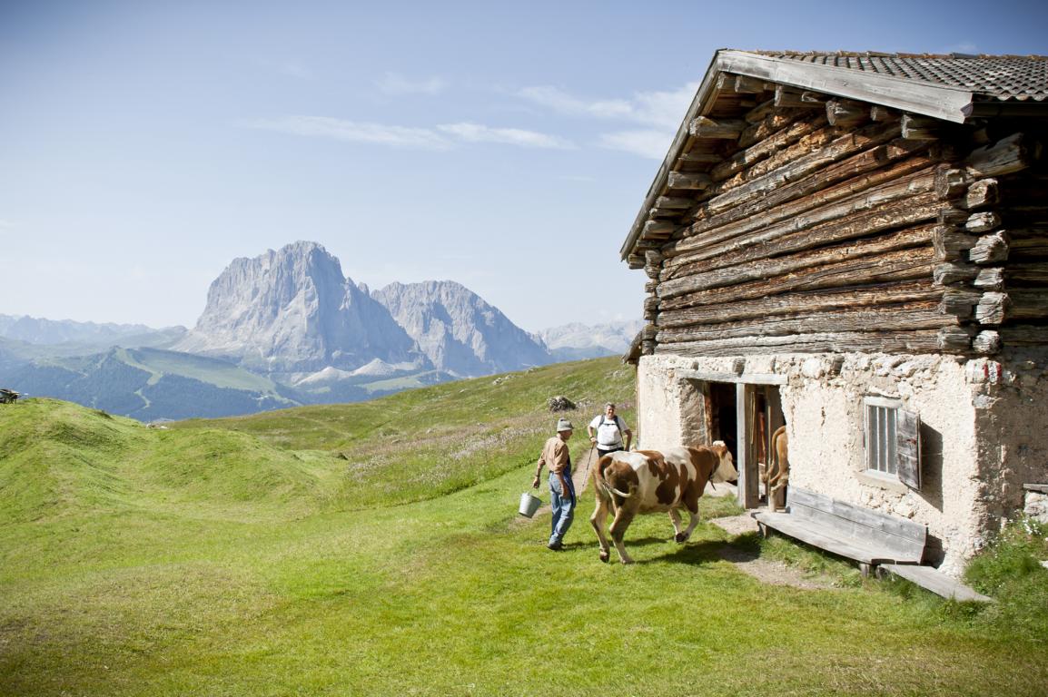 Sommer auf Seceda