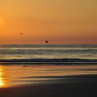 Sommer auf Sylt