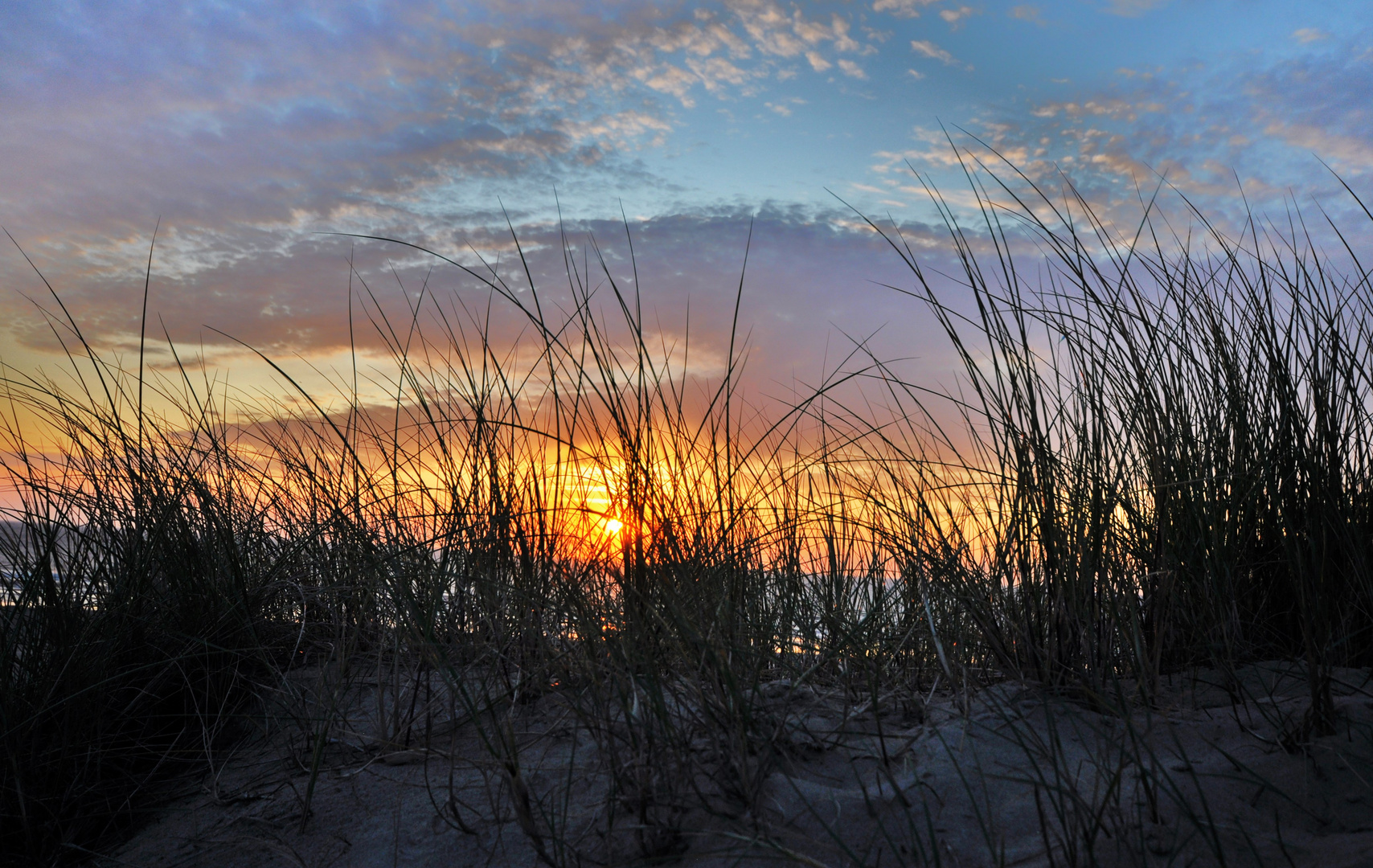 Sommer auf Texel