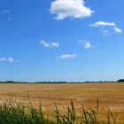 Sommer auf Texel