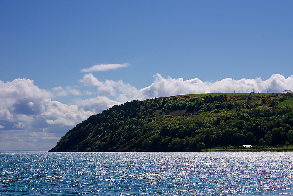 Sommer auf the Black Isle