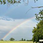 Sommer auf Usedom 2