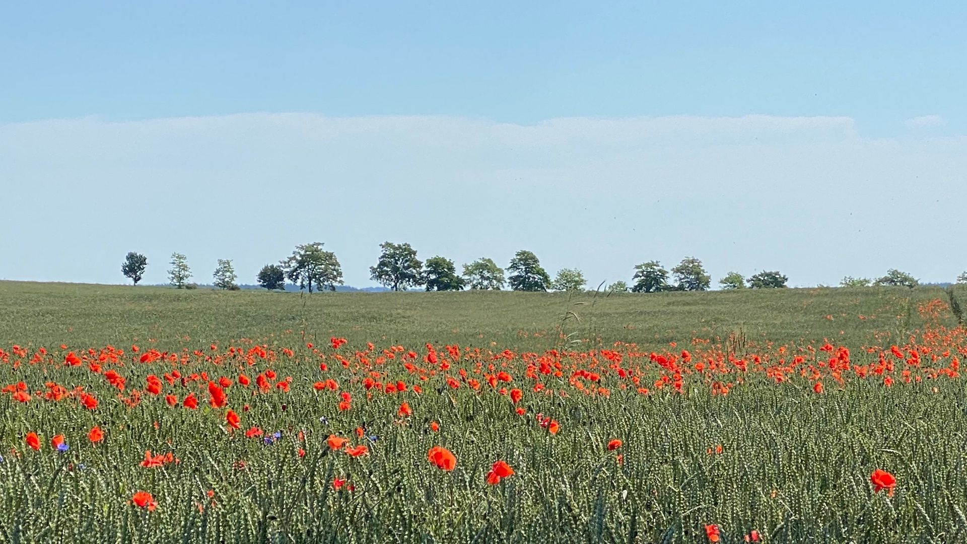 Sommer auf Usedom