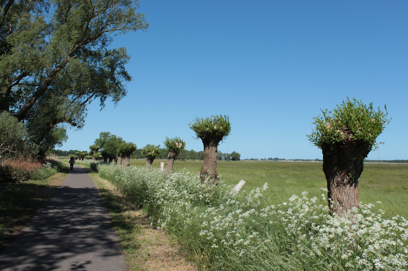 Sommer auf Usedom