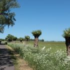 Sommer auf Usedom