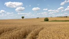 Sommer ...