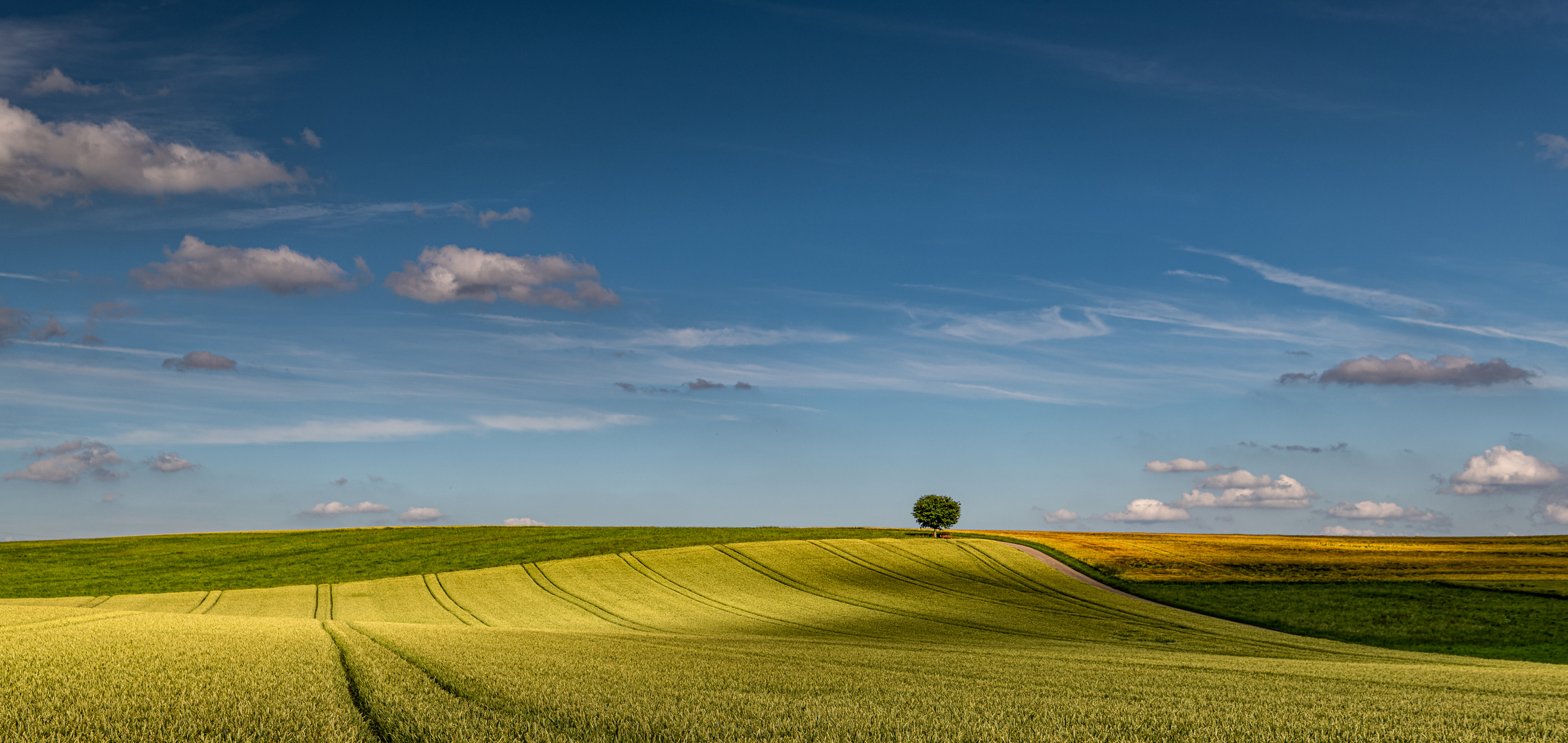 Sommer