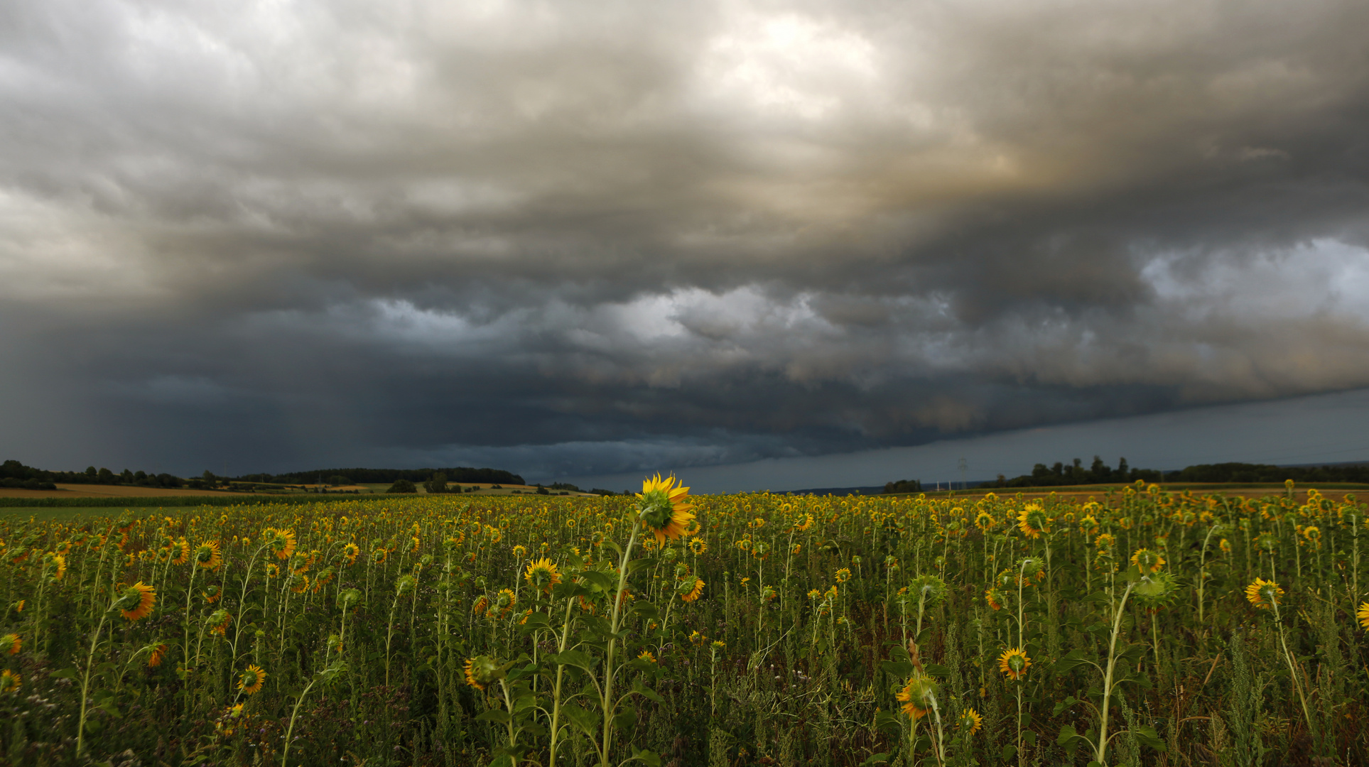 Sommer