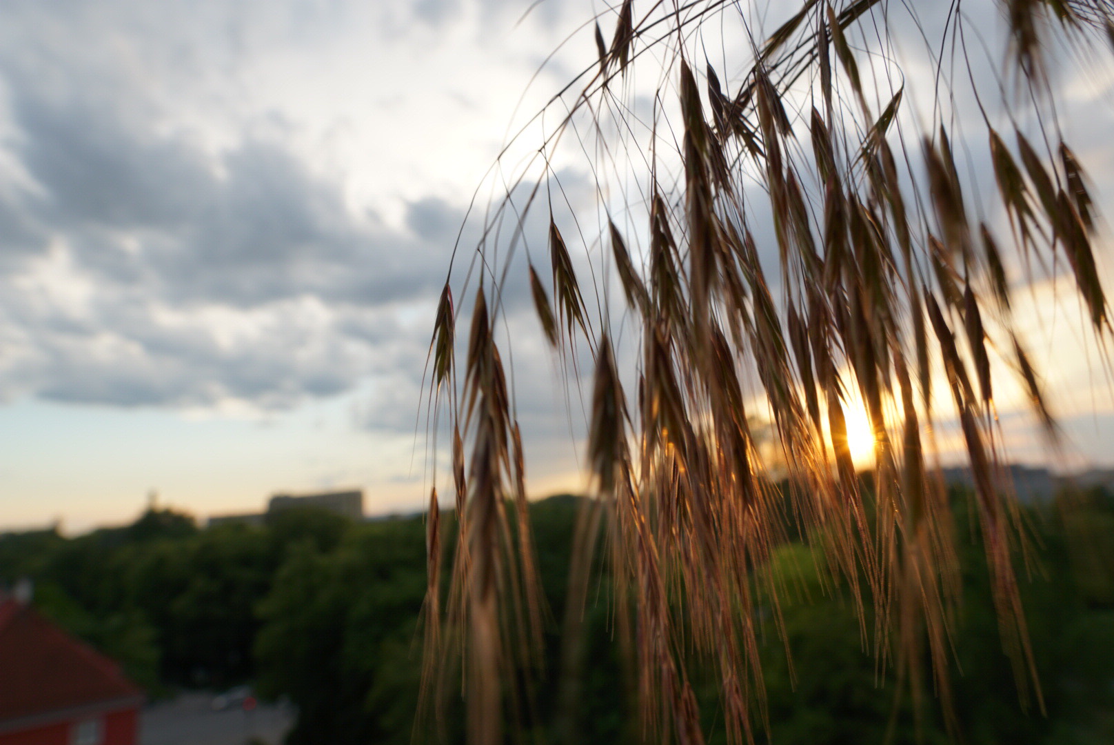 Sommer ..Balkon Foto 