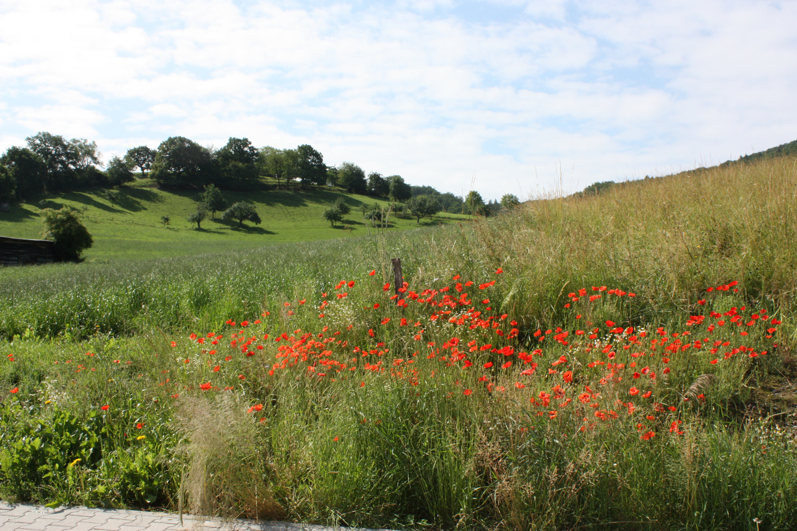 sommer