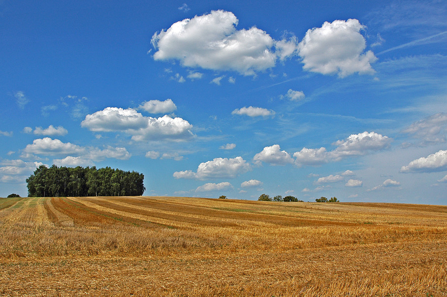 Sommer