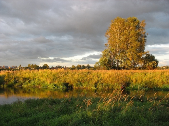 Sommer beginnt im Herbst