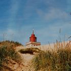 Sommer bei Rubjerg Knude