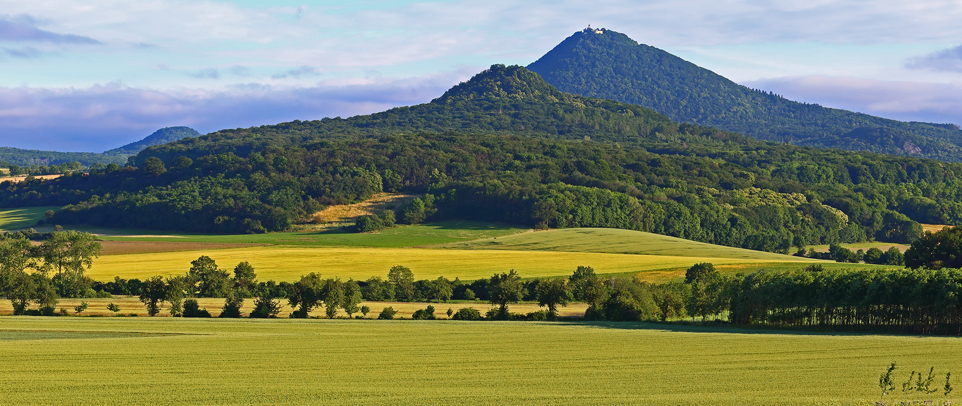 Sommer beim Milleschauer im Böhmischen Mittelgebirge