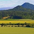 Sommer beim Milleschauer im Böhmischen Mittelgebirge