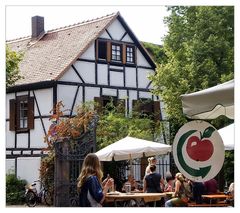 Sommer, Biergarten und "Äbbelwoi" :-)...