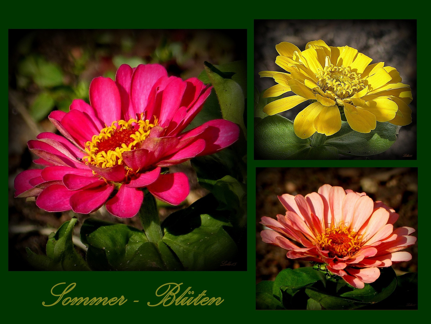 Sommer-Blumen ...