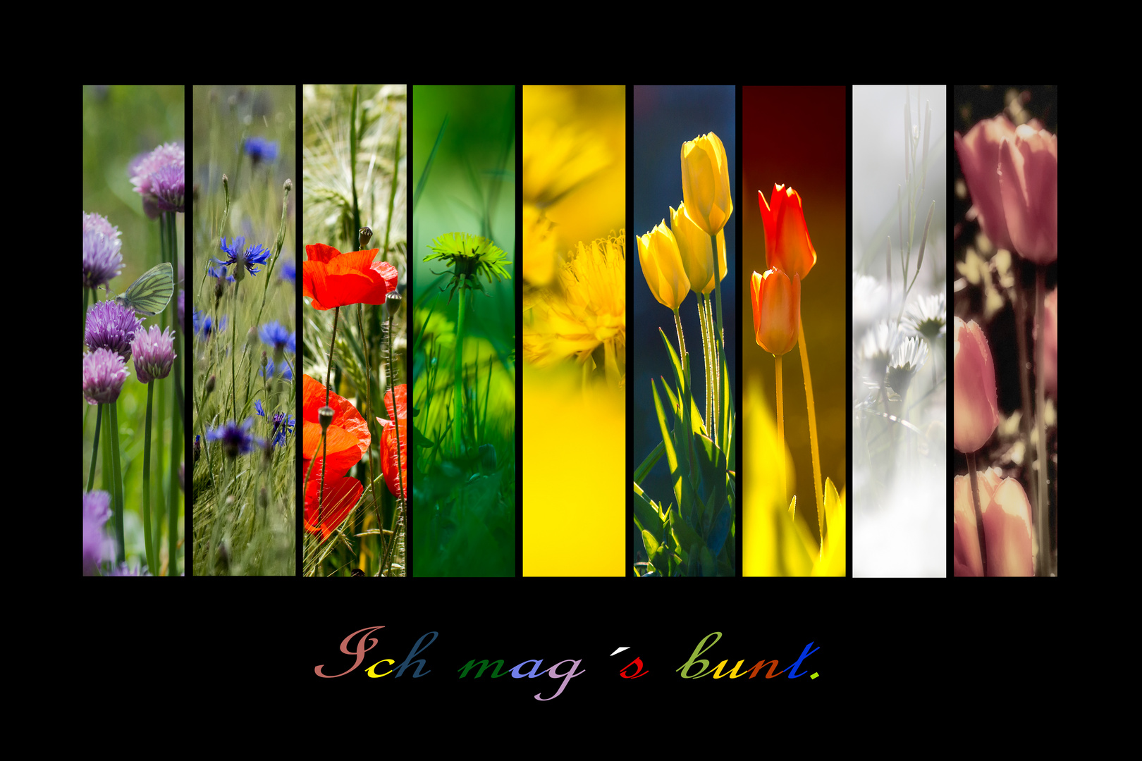 Sommer-Blumen-Collage