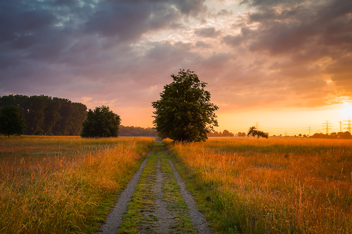 Sommer