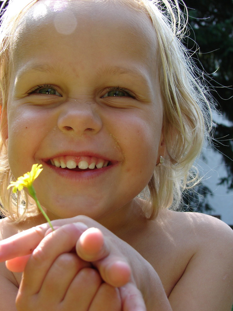 Sommer von Inke Steuding-Eberhardt 