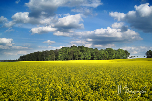 Sommer