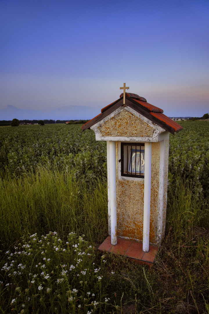 Sommer - Das Feld und das Marterl