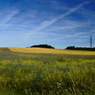 Sommer - Das Weizenfeld und die Kornblumen