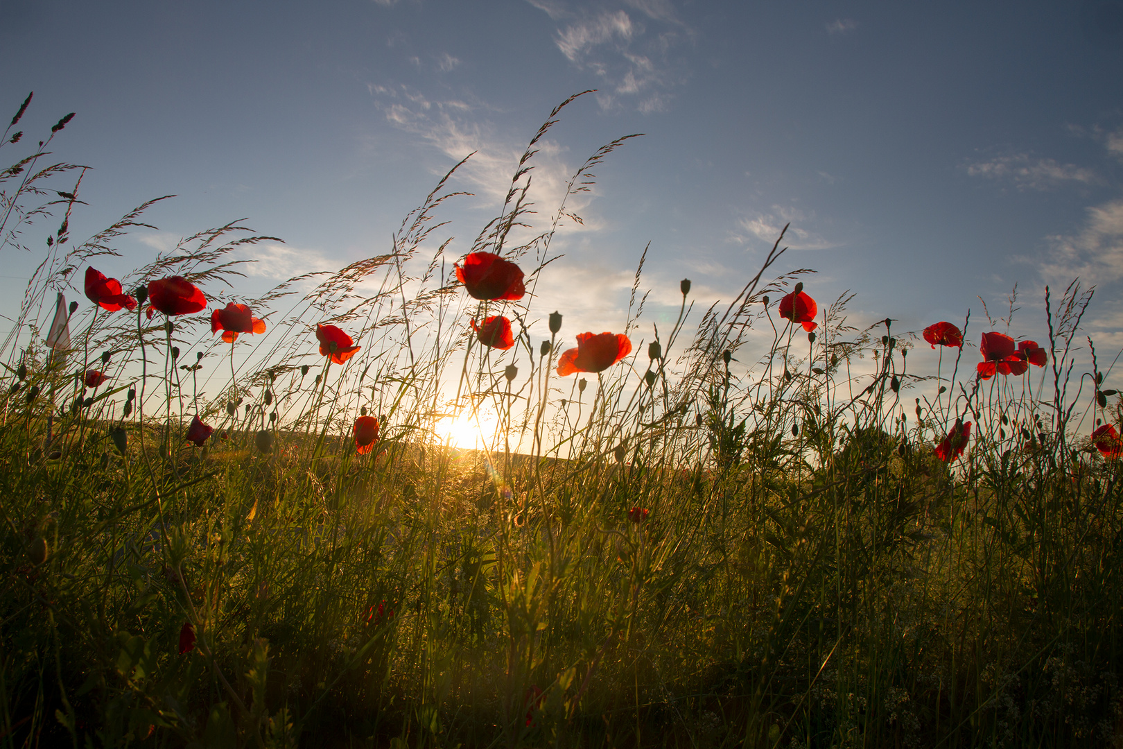 Sommer !