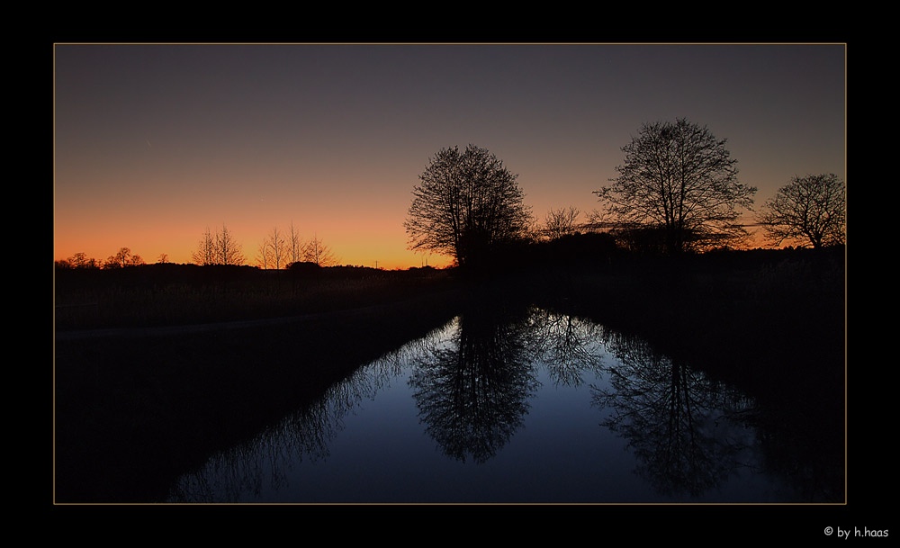 Sommer Dreaming in Winter