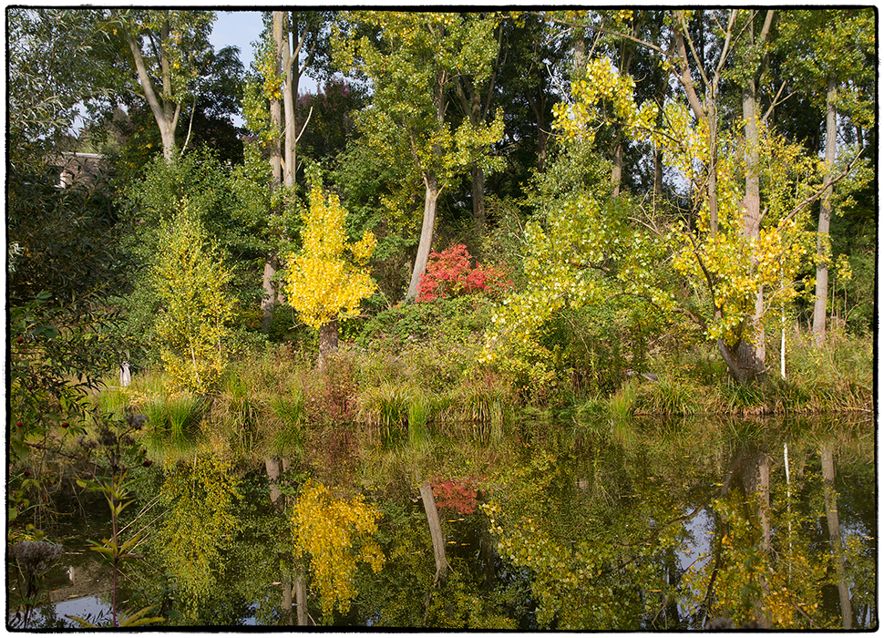 Sommer du sterbst...