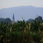 Sommer . Dunst . Fern . Blick