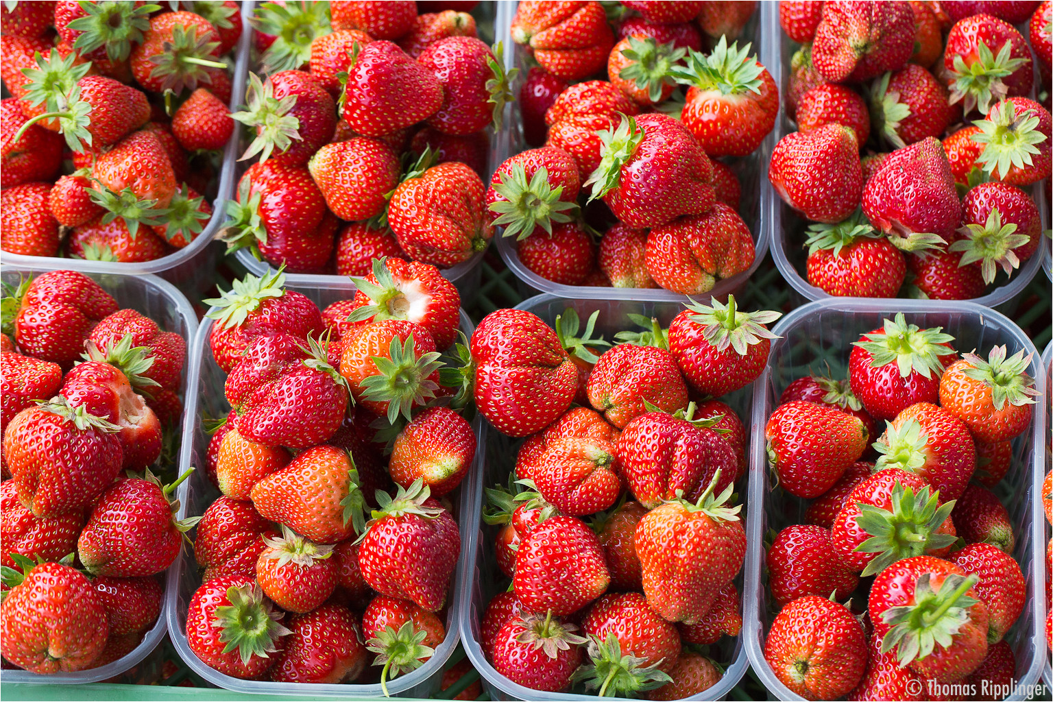 Sommer Erdbeeren vom Obstgut Klosterberg.....