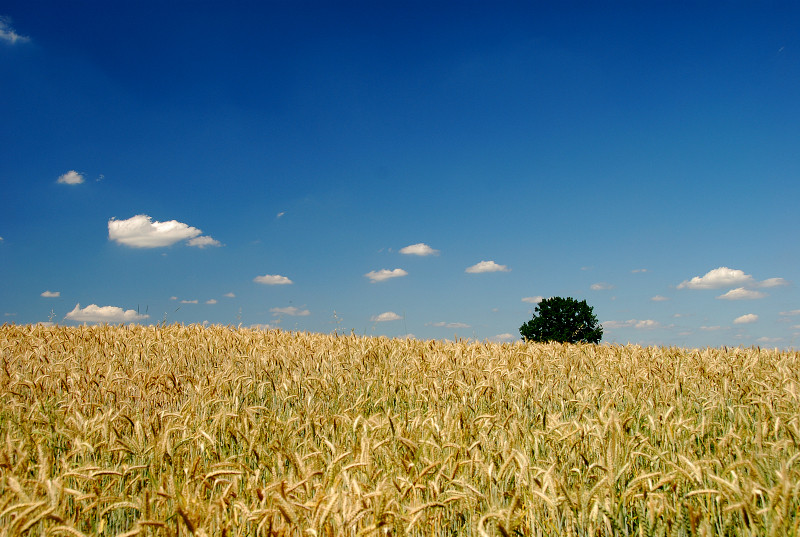 Sommer-Erinnerungen.....