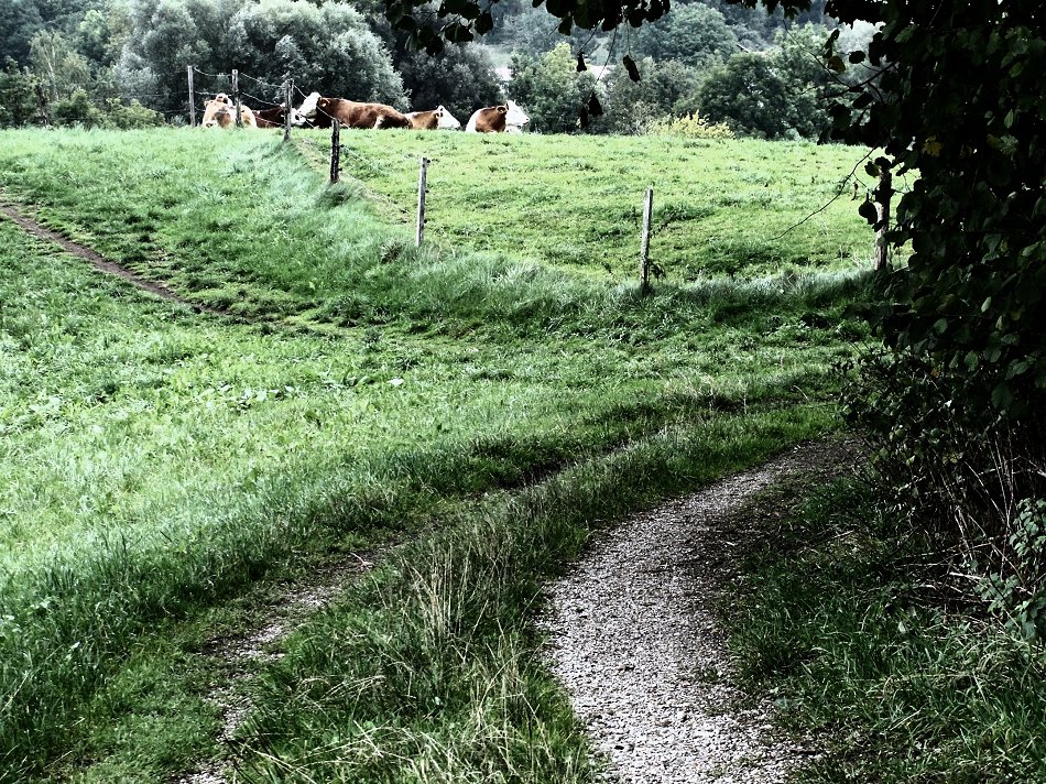 Sommer-Erinnerungen-Verblassen