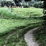 Sommer-Erinnerungen-Verblassen