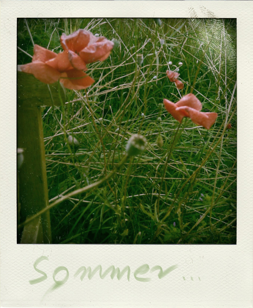 Sommer