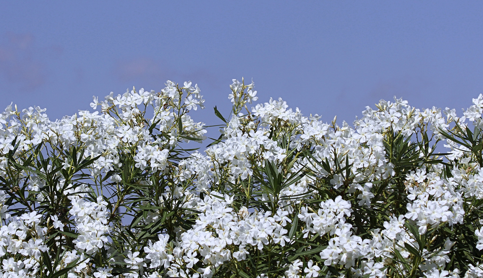 Sommer-Feeling