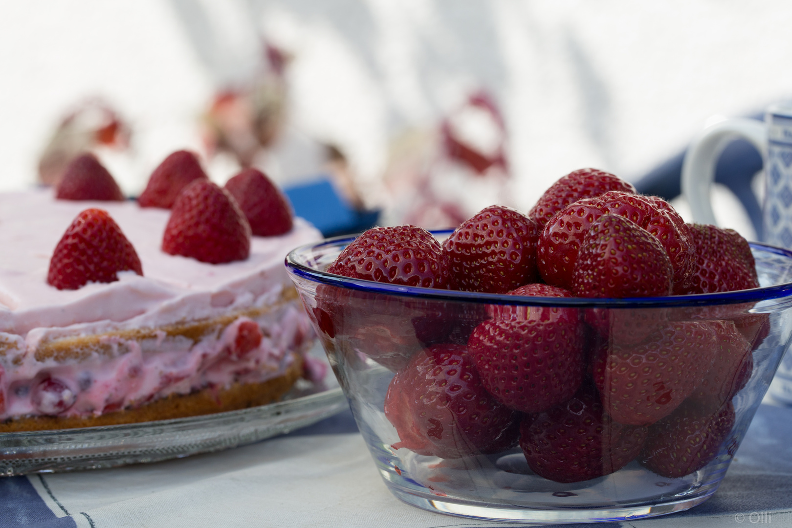 Sommer Früchte