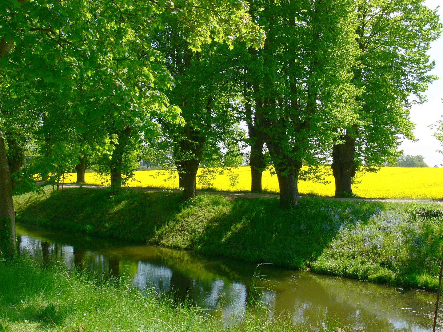 Sommer für die Seele