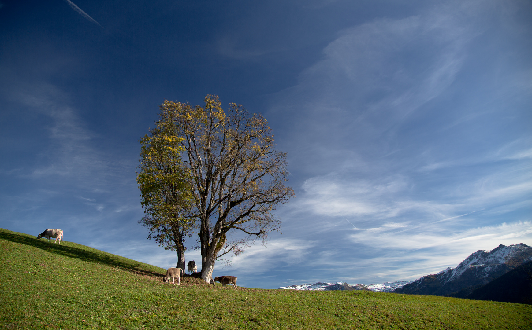 Sommer geht zu Ende