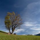 Sommer geht zu Ende